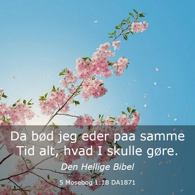 Picture 03 - 5 Mosebog 1:18 DA1871 - Da bød jeg eder paa samme Tid alt, hvad I skulle - Bible Verse Picture