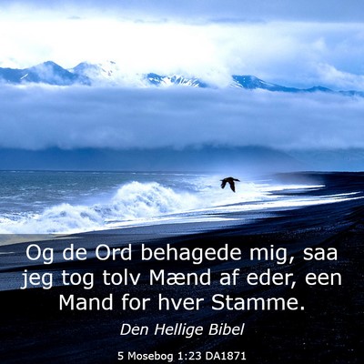 Picture 03 - 5 Mosebog 1:23 DA1871 - Og de Ord behagede mig, saa jeg tog tolv Mænd af - Bible Verse Picture