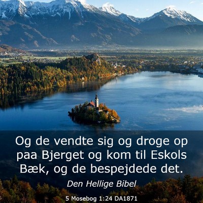Picture 03 - 5 Mosebog 1:24 DA1871 - Og de vendte sig og droge op paa Bjerget og kom - Bible Verse Picture