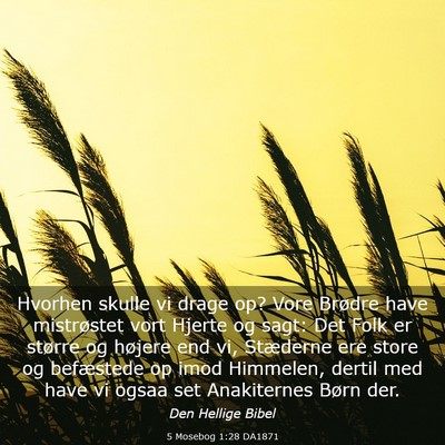 Picture 03 - 5 Mosebog 1:28 DA1871 - Hvorhen skulle vi drage op? Vore Brødre have - Bible Verse Picture