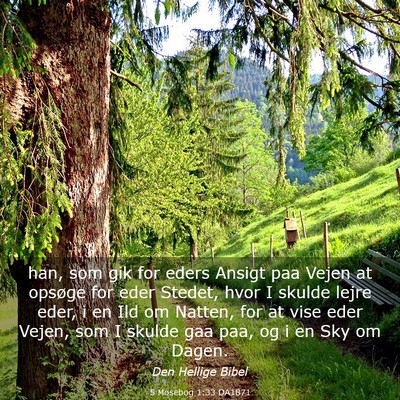Picture 03 - 5 Mosebog 1:33 DA1871 - han, som gik for eders Ansigt paa Vejen at - Bible Verse Picture