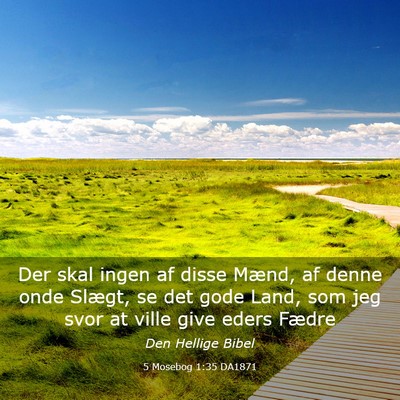 Picture 03 - 5 Mosebog 1:35 DA1871 - Der skal ingen af disse Mænd, af denne onde - Bible Verse Picture