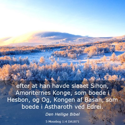 Picture 03 - 5 Mosebog 1:4 DA1871 - efter at han havde slaaet Sihon, Amoriternes - Bible Verse Picture