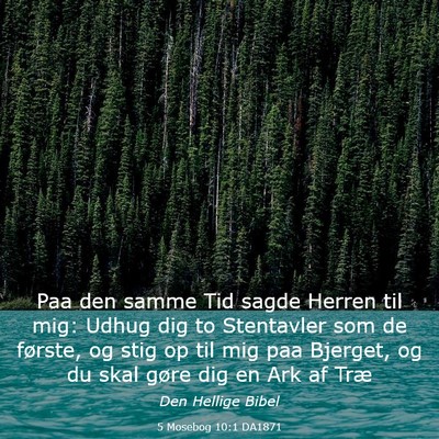 Picture 03 - 5 Mosebog 10:1 DA1871 - Paa den samme Tid sagde Herren til mig: Udhug dig - Bible Verse Picture