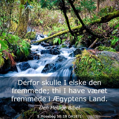 Picture 03 - 5 Mosebog 10:19 DA1871 - Derfor skulle I elske den fremmede; thi I have - Bible Verse Picture