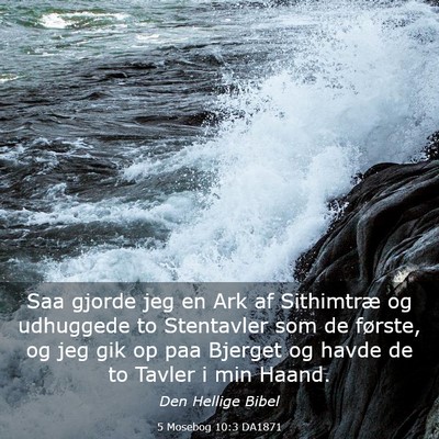 Picture 03 - 5 Mosebog 10:3 DA1871 - Saa gjorde jeg en Ark af Sithimtræ og udhuggede - Bible Verse Picture