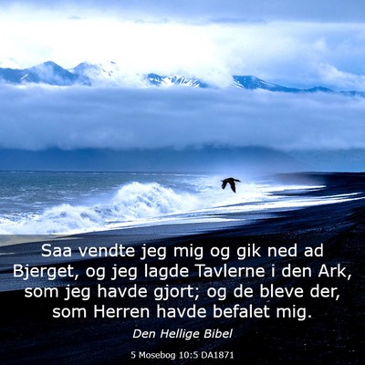 Picture 03 - 5 Mosebog 10:5 DA1871 - Saa vendte jeg mig og gik ned ad Bjerget, og jeg - Bible Verse Picture
