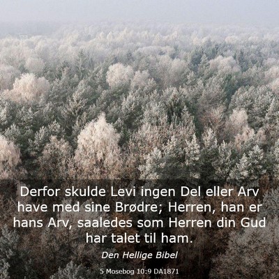 Picture 03 - 5 Mosebog 10:9 DA1871 - Derfor skulde Levi ingen Del eller Arv have med - Bible Verse Picture