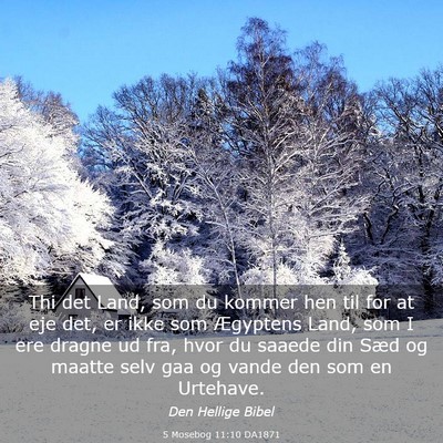 Picture 03 - 5 Mosebog 11:10 DA1871 - Thi det Land, som du kommer hen til for at eje - Bible Verse Picture