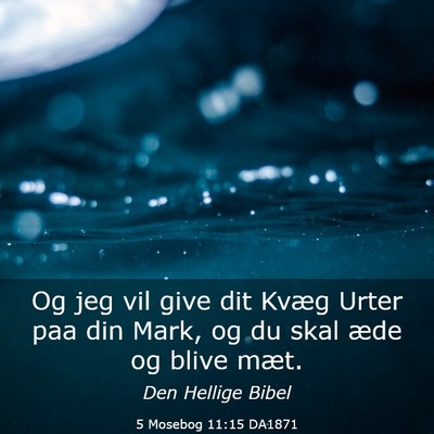 Picture 03 - 5 Mosebog 11:15 DA1871 - Og jeg vil give dit Kvæg Urter paa din Mark, og - Bible Verse Picture