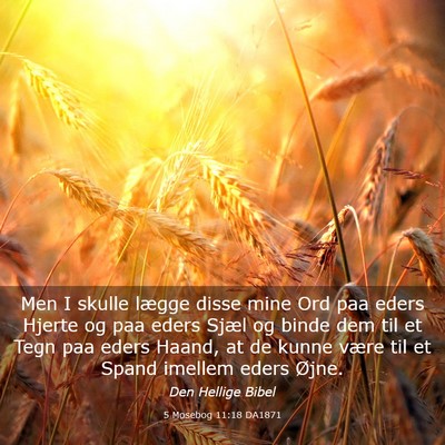 Picture 03 - 5 Mosebog 11:18 DA1871 - Men I skulle lægge disse mine Ord paa eders - Bible Verse Picture