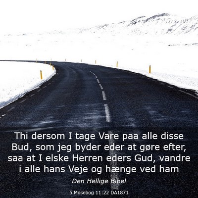 Picture 03 - 5 Mosebog 11:22 DA1871 - Thi dersom I tage Vare paa alle disse Bud, som - Bible Verse Picture