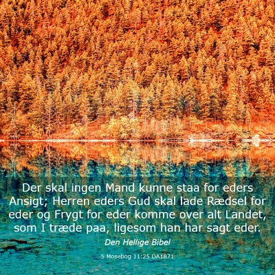 Picture 03 - 5 Mosebog 11:25 DA1871 - Der skal ingen Mand kunne staa for eders Ansigt; - Bible Verse Picture