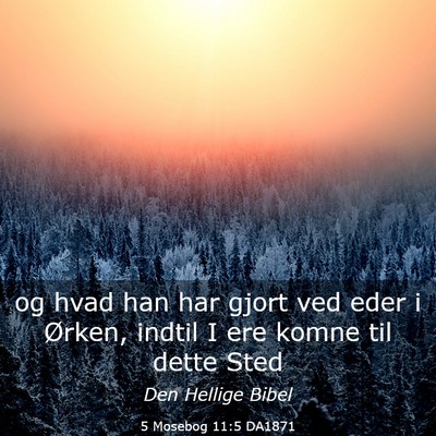 Picture 03 - 5 Mosebog 11:5 DA1871 - og hvad han har gjort ved eder i Ørken, indtil I - Bible Verse Picture