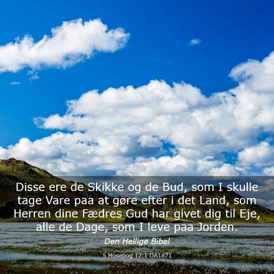 Picture 03 - 5 Mosebog 12:1 DA1871 - Disse ere de Skikke og de Bud, som I skulle tage - Bible Verse Picture