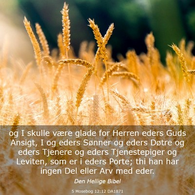 Picture 03 - 5 Mosebog 12:12 DA1871 - og I skulle være glade for Herren eders Guds - Bible Verse Picture