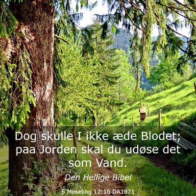 Picture 03 - 5 Mosebog 12:16 DA1871 - Dog skulle I ikke æde Blodet; paa Jorden skal du - Bible Verse Picture