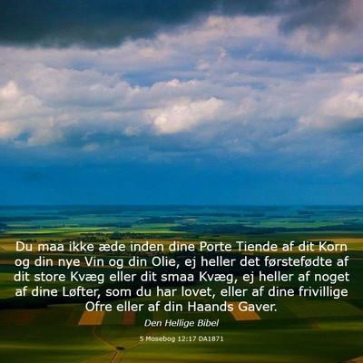 Picture 03 - 5 Mosebog 12:17 DA1871 - Du maa ikke æde inden dine Porte Tiende af dit - Bible Verse Picture