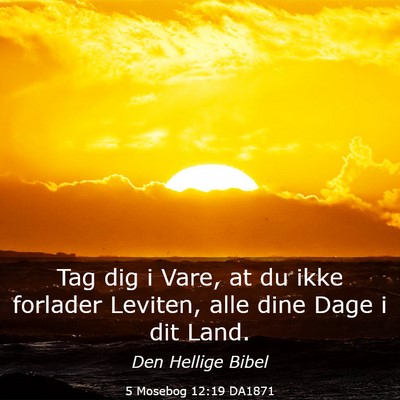 Picture 03 - 5 Mosebog 12:19 DA1871 - Tag dig i Vare, at du ikke forlader Leviten, alle - Bible Verse Picture