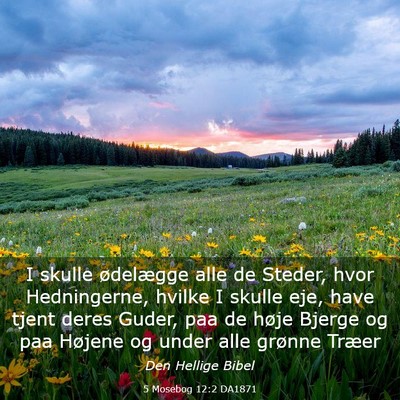 Picture 03 - 5 Mosebog 12:2 DA1871 - I skulle ødelægge alle de Steder, hvor - Bible Verse Picture