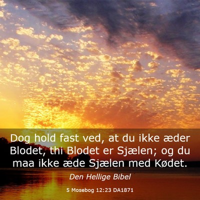 Picture 03 - 5 Mosebog 12:23 DA1871 - Dog hold fast ved, at du ikke æder Blodet, thi - Bible Verse Picture