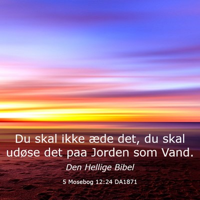 Picture 03 - 5 Mosebog 12:24 DA1871 - Du skal ikke æde det, du skal udøse det paa - Bible Verse Picture