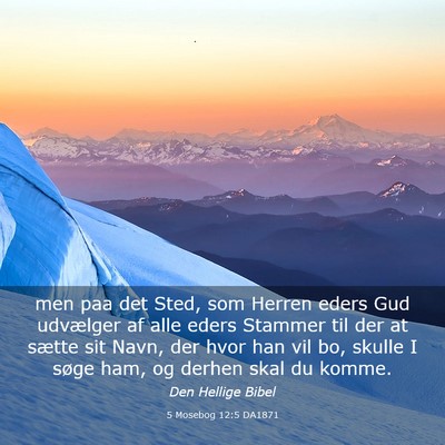 Picture 03 - 5 Mosebog 12:5 DA1871 - men paa det Sted, som Herren eders Gud udvælger - Bible Verse Picture