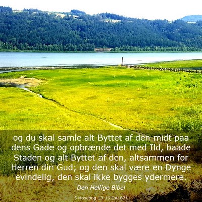Picture 03 - 5 Mosebog 13:16 DA1871 - og du skal samle alt Byttet af den midt paa dens - Bible Verse Picture