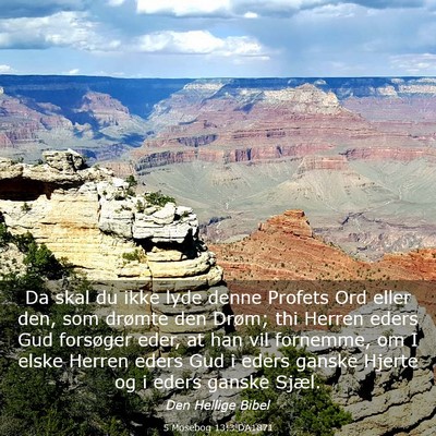 Picture 03 - 5 Mosebog 13:3 DA1871 - Da skal du ikke lyde denne Profets Ord eller den, - Bible Verse Picture
