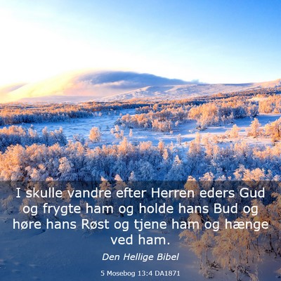 Picture 03 - 5 Mosebog 13:4 DA1871 - I skulle vandre efter Herren eders Gud og frygte - Bible Verse Picture