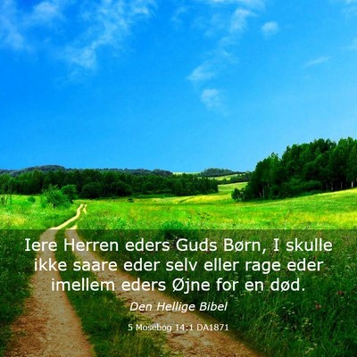 Picture 03 - 5 Mosebog 14:1 DA1871 - Iere Herren eders Guds Børn, I skulle ikke saare - Bible Verse Picture