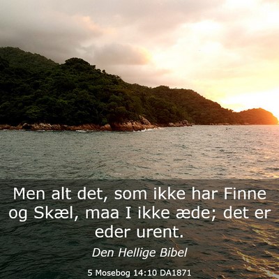 Picture 03 - 5 Mosebog 14:10 DA1871 - Men alt det, som ikke har Finne og Skæl, maa I - Bible Verse Picture