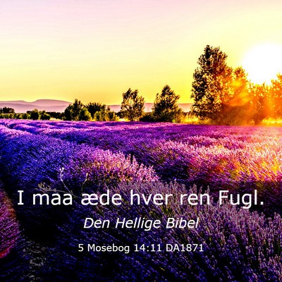 Picture 03 - 5 Mosebog 14:11 DA1871 - I maa æde hver ren - Bible Verse Picture