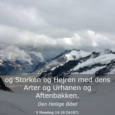 Picture 03 - 5 Mosebog 14:18 DA1871 - og Storken og Hejren med dens Arter og Urhanen og - Bible Verse Picture