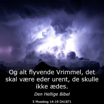 Picture 03 - 5 Mosebog 14:19 DA1871 - Og alt flyvende Vrimmel, det skal være eder - Bible Verse Picture