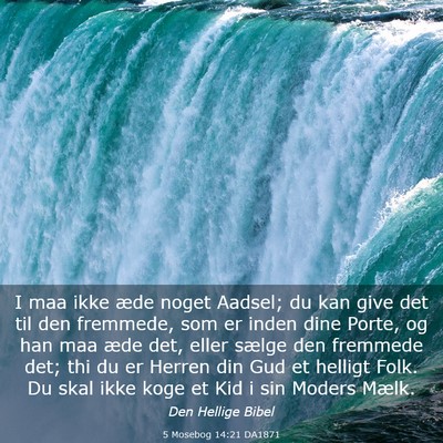 Picture 03 - 5 Mosebog 14:21 DA1871 - I maa ikke æde noget Aadsel; du kan give det til - Bible Verse Picture
