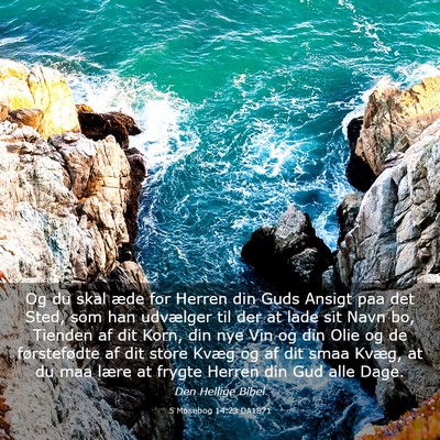 Picture 03 - 5 Mosebog 14:23 DA1871 - Og du skal æde for Herren din Guds Ansigt paa - Bible Verse Picture