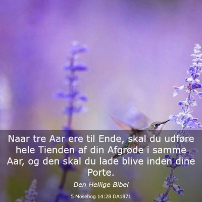 Picture 03 - 5 Mosebog 14:28 DA1871 - Naar tre Aar ere til Ende, skal du udføre hele - Bible Verse Picture