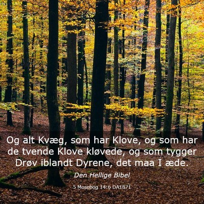 Picture 03 - 5 Mosebog 14:6 DA1871 - Og alt Kvæg, som har Klove, og som har de tvende - Bible Verse Picture