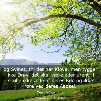 Picture 03 - 5 Mosebog 14:8 DA1871 - og Svinet, thi det har Klove, men tygger ikke - Bible Verse Picture