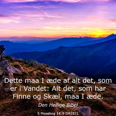 Picture 03 - 5 Mosebog 14:9 DA1871 - Dette maa I æde af alt det, som er i Vandet: Alt - Bible Verse Picture