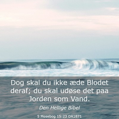 Picture 03 - 5 Mosebog 15:23 DA1871 - Dog skal du ikke æde Blodet deraf; du skal - Bible Verse Picture