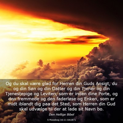 Picture 03 - 5 Mosebog 16:11 DA1871 - Og du skal være glad for Herren din Guds Ansigt, - Bible Verse Picture