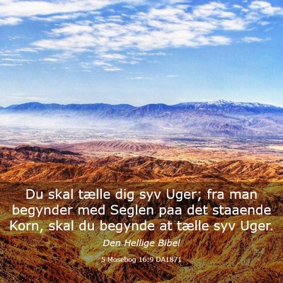 Picture 03 - 5 Mosebog 16:9 DA1871 - Du skal tælle dig syv Uger; fra man begynder med - Bible Verse Picture