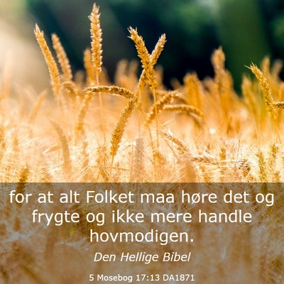 Picture 03 - 5 Mosebog 17:13 DA1871 - for at alt Folket maa høre det og frygte og ikke - Bible Verse Picture
