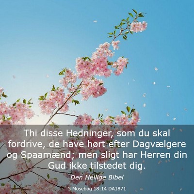 Picture 03 - 5 Mosebog 18:14 DA1871 - Thi disse Hedninger, som du skal fordrive, de - Bible Verse Picture
