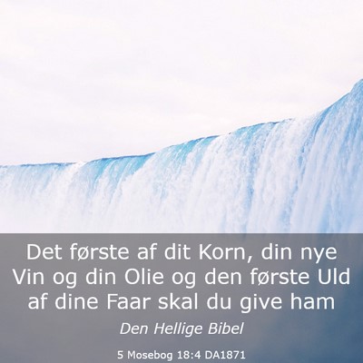 Picture 03 - 5 Mosebog 18:4 DA1871 - Det første af dit Korn, din nye Vin og din Olie - Bible Verse Picture