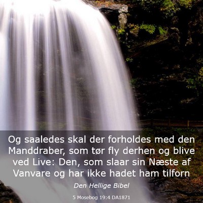 Picture 03 - 5 Mosebog 19:4 DA1871 - Og saaledes skal der forholdes med den - Bible Verse Picture