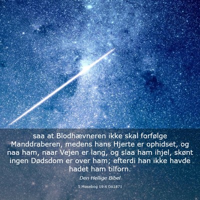 Picture 03 - 5 Mosebog 19:6 DA1871 - saa at Blodhævneren ikke skal forfølge - Bible Verse Picture