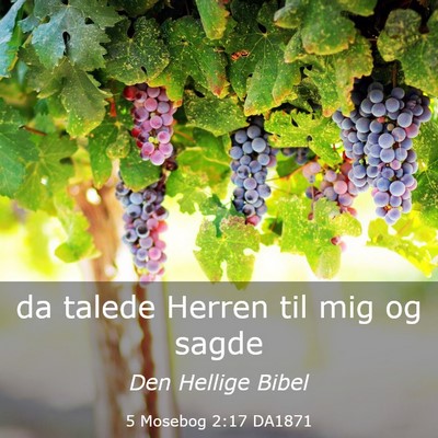 Picture 03 - 5 Mosebog 2:17 DA1871 - da talede Herren til mig og - Bible Verse Picture